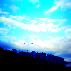 김하월 profile image