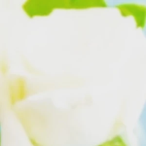 ARMY0928 profile image