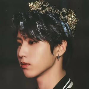 HANandonly profile image