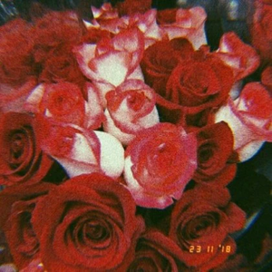 Dilemme profile image