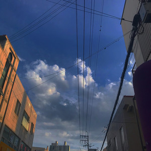 나르샤 profile image