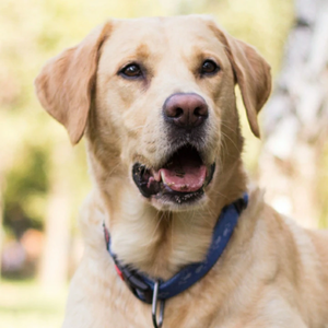 아주그냥죽여줘요 profile image