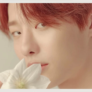 annelin101010 profile image