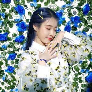 유애나보하 profile image