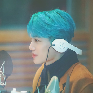 EXO990 profile image