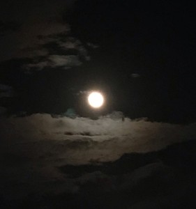 926513b3f8c3b8d1102fd4932419f6bf profile image