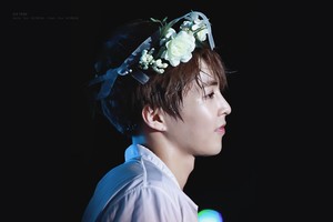 jadynwu2000 profile image