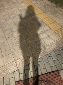 윫윭 profile image