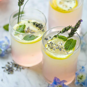 freshlemonade profile image