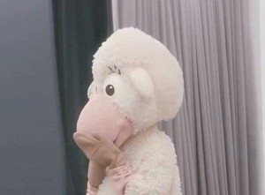 kana0222 profile image