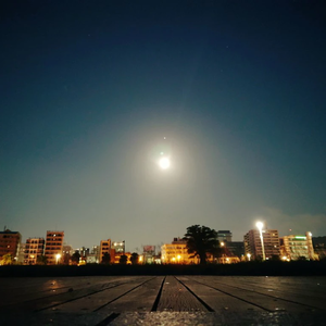 김summer월 profile image