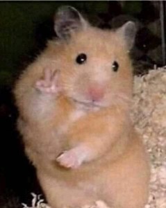 callmehanhduwk profile image