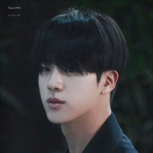 seokjinie4 profile image