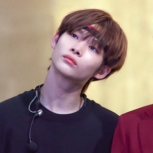 nikinicokneecaps's profile image