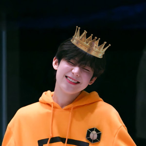 sunoocturne's profile image