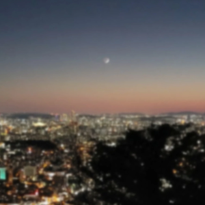 임나토 profile image