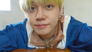 췍사막여우 profile image