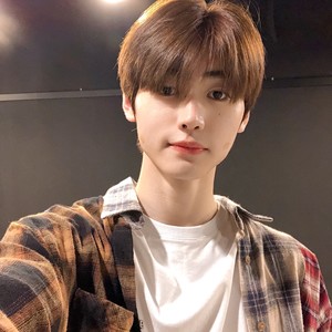 Penguin17 profile image