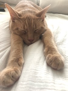 moonxnoon profile image