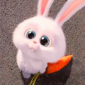 뾰쨕이 profile image