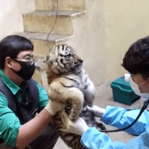 초록인이어 profile image