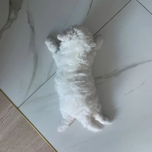 뽀또s profile image