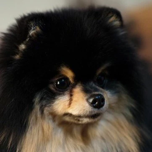 aSceneryV profile image