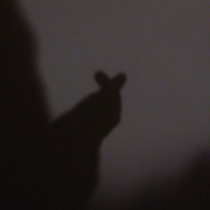 관종은지 profile image