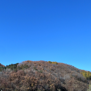 kanhai profile image