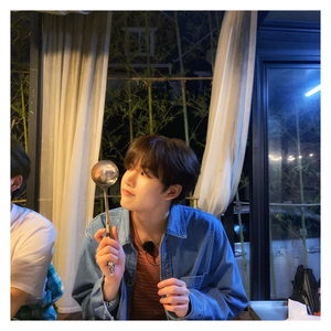 koalaaaaaaaa profile image