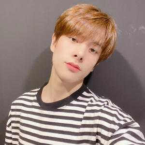 beanie24 profile image