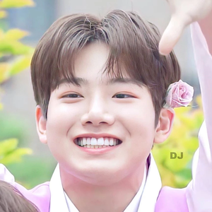 nasigorengid profile image