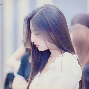 정예인지킴이 profile image