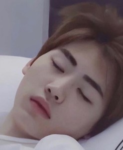 iceprinceparks profile image