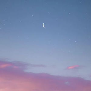 제영--에뉴 profile image