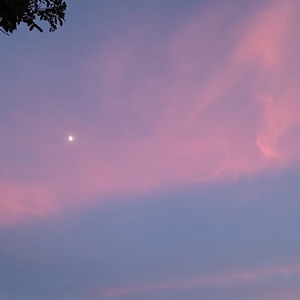 laksjdh profile image