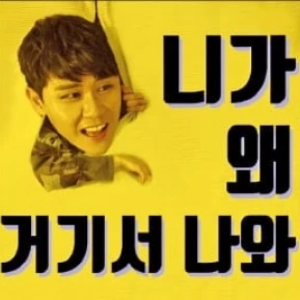 니가왜거기서나와 profile image