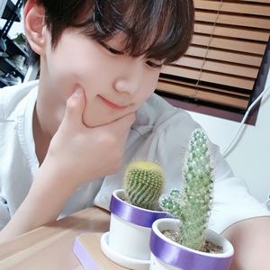 a1b993ec3204ce5a8b0ba7da47c7ffec profile image