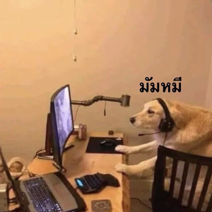 rainyrainrin profile image