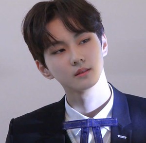 shpwon profile image