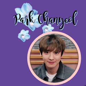 BabyXingYeol3 profile image