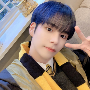 Serimist profile image