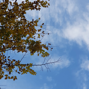 b1e0ffe14b337d2c8c0458606d05938e profile image