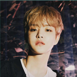 sozzyslowlyfaster profile image