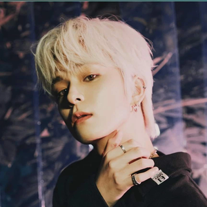 sozzymalfunction profile image