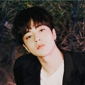 sozzyshinchanrutoo profile image