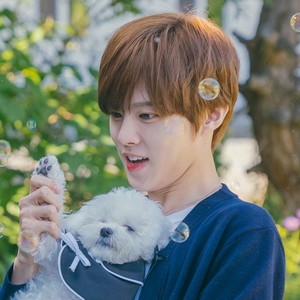 Wooshining8 profile image