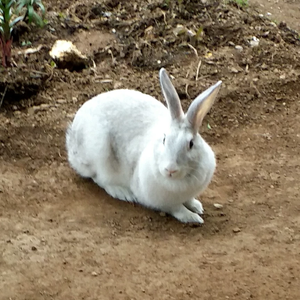 안불망위 profile image