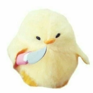 마타 profile image