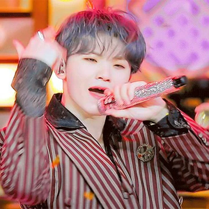 아이돌팬캐럿 profile image